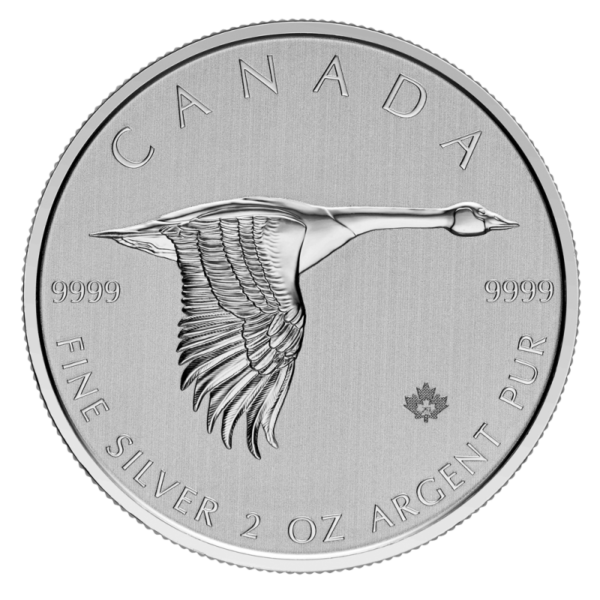 2 oz Canada Goose 2020 Silver Coin(Front)