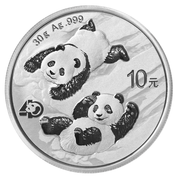 30g China Panda Silver Coin | 2022(Front)