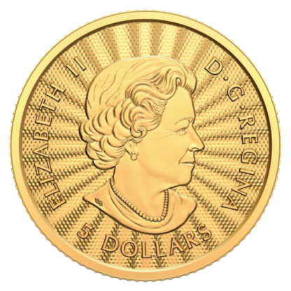 1/10 oz Majestic Polar Bear Gold Coin | 2022(Back)