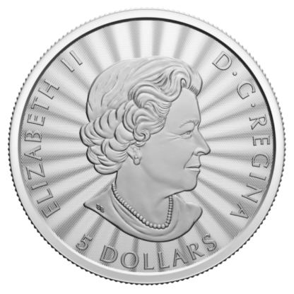 1 oz Majestic Polar Bear Silver Coin | 2022(Back)