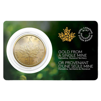 1 oz Maple Leaf Gold Coin | Single Source | 2022(Front)
