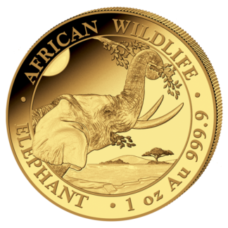 1 oz Somalia Elephant Gold Coin | 2023(Front)