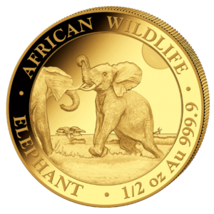 1/2 oz Somalia Elephant Gold Coin | 2024(Front)